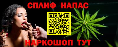 трава Кингисепп