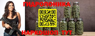 трава Кингисепп