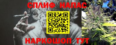 трава Кингисепп