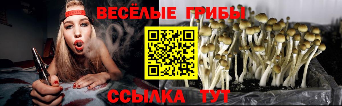 Галлюциногенные грибы Psilocybine cubensis  Вход с VPN  Ступино  Псилоцибиновые грибы Psilocybine cubensis 