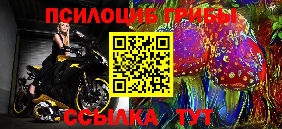 Галлюциногенные грибы Cubensis Ступино